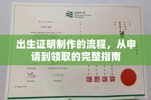 仲巴出生证明制作的流程，从申请到领取的完整指南